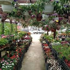 Ordu Sera Botanik Market