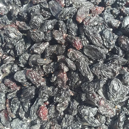 Organik Gıda Manisa