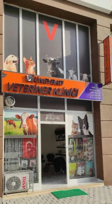 Ortaca Güneybatı Veteriner Kliniği