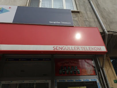 Osmaniye Kalkan Digital Uydu & Güvenlik Sistemleri