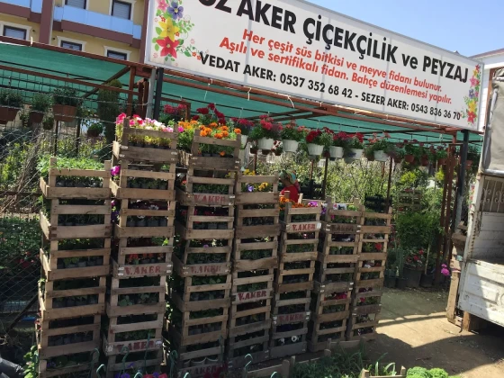 Öz Aker Çiçekcilik & Fidancılık Ve Peyzaj