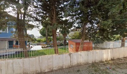 Özel Hayat Ağacı Akademi Anaokulu