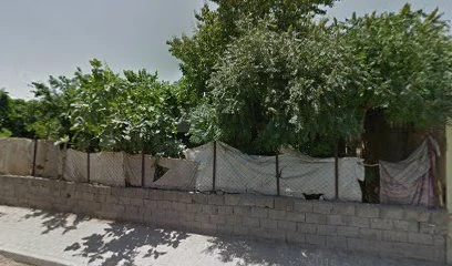 Özel Siirt Nergis Özel Eğitim Ve Rehabilitasyon Merkezi