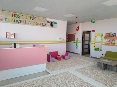 Özel Tunceli Lale Bahçesi Anaokulu