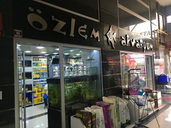 Özlem Akvaryum