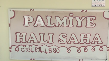 Palmiye Halı Saha