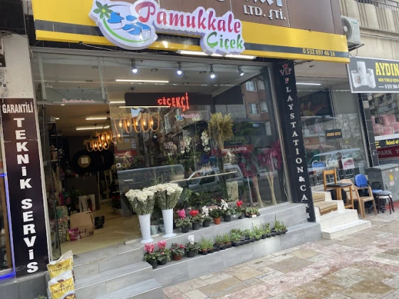 Pamukkale Çiçek / Denizli