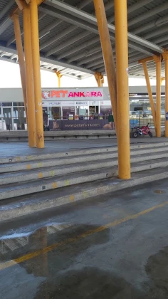 Pet Ankara - Pet Shop