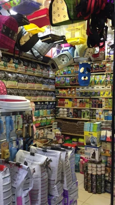 Pet House Tunalı Hilmi - Pet Shop Tunalı Hilmi