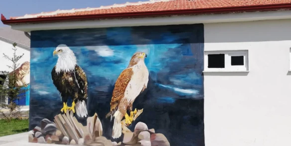 Pet-İ Bor Rehabilite Merkezi