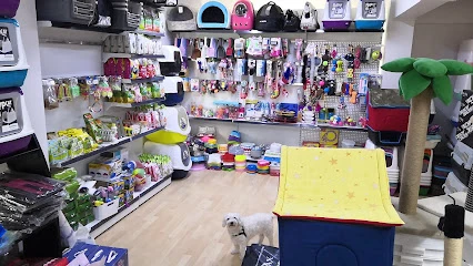 Pet Queen Petshop