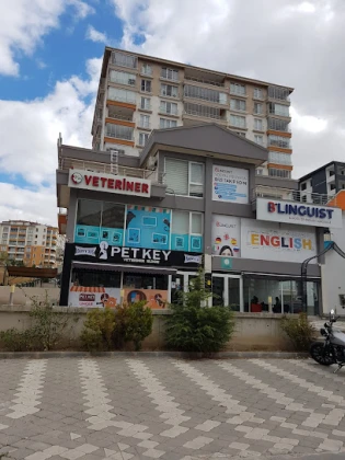 Petkey Veteriner Kliniği