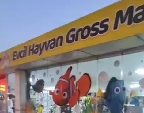 Petpazar Petgroos Evcil Hayvan Ürünleri