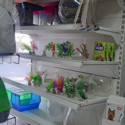 Petshop