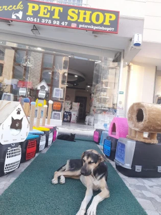 Pıtırcık Pet Shop