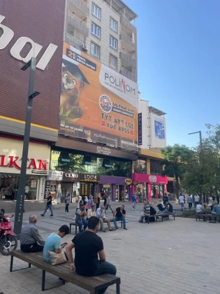 Polinom Eğitim Kurumları