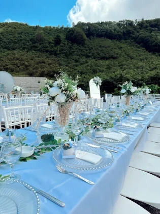 Procate Organizasyon Hizmetleri