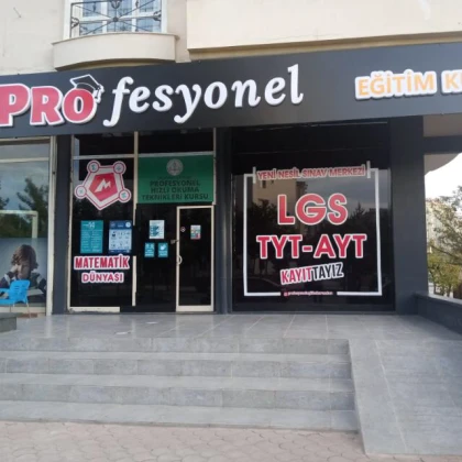Profesyonel Eğitim Kurumu
