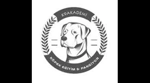 Proteo K9 Akademi | Pet Otel