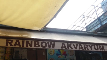 Rainbow Akvaryum