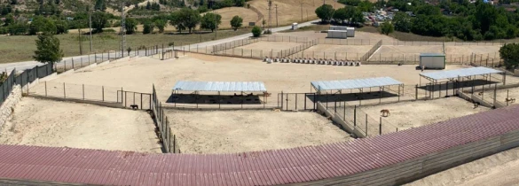 Safranbolu Belediyesi Veteriner İşleri Müdürlüğü