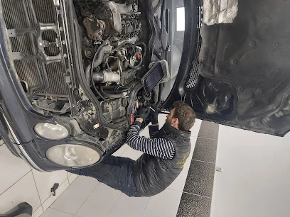 Şahin Oto Elektronik & Chıp Tunıng -Erbaa