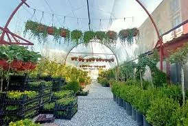 Şahinler Fidancılık Ve Peyzaj