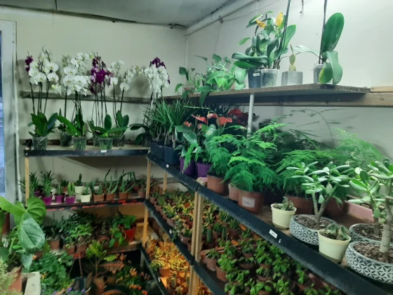 Saklı Bahçe Peyzaj