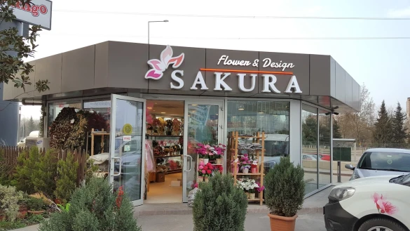 Sakura Çiçek