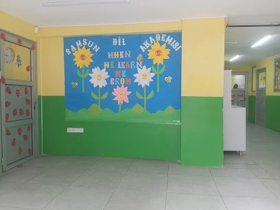 Samsun Dil Akademisi