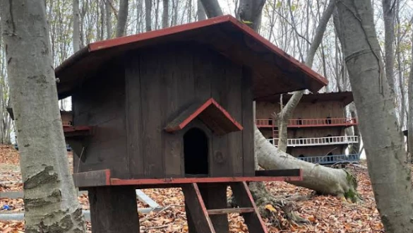 Samsun Hayvan Barınağı