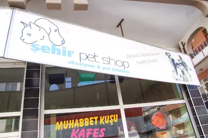 Şehir Petshop Akvaryum