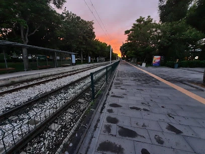 Selçuk Üniversitesi