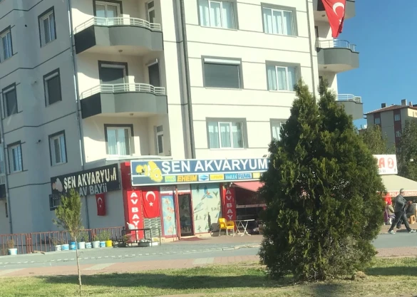 Şen Akvaryum& Av Bayii