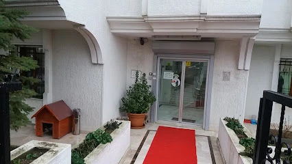 Şenlikköy Veteriner Kliniği