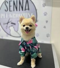 Senna Pet Kuaför&Petshop