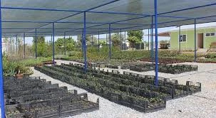 Sera Park Tarım Peyzaj Fidancılık