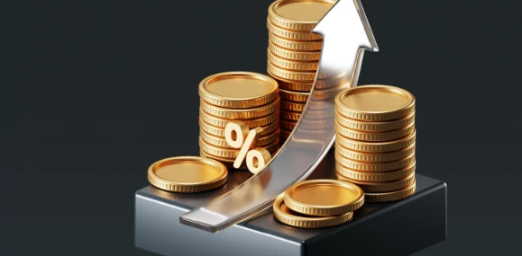 Serhat Kalkınma Ajansı Iğdır Yatırım