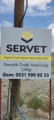 Servet Organik
