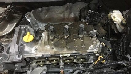 Ses Oto Gaz Lpg Tamir Bakım Onarım Montaj Atiker Brc Zavoli Lovato