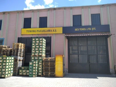 Ses Tekel Tuborg Erzurum Bayii