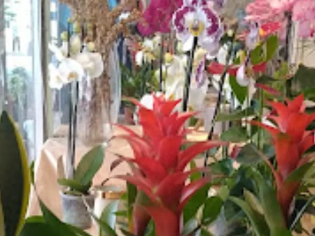 Sevgi Çiçekçilik Ve Organizasyon