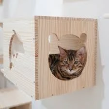 Sevimli Patiler Pet Kuaförü-Pet Hotel