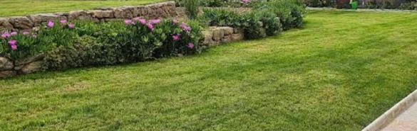 Şevval Peyzaj Mimarlık