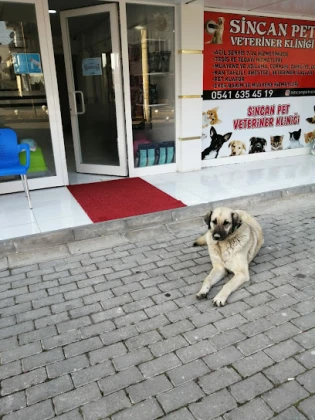 Sincan Pet Veteriner Kliniği