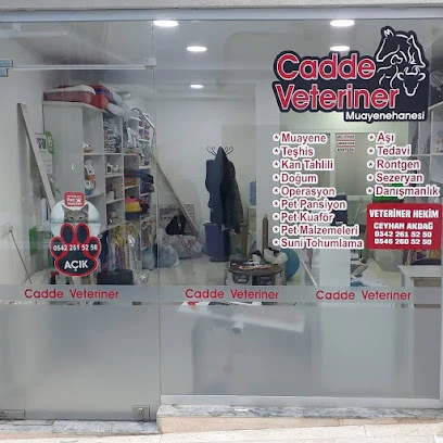 Sinop Cadde Veteriner Kliniği