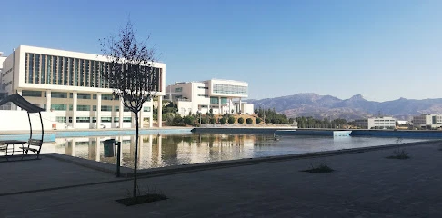 Şırnak Üniversitesi