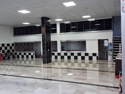 Sky Oto Elektronık & Chıptunıng