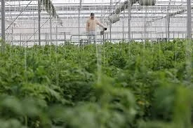 Şükrü Soydan Seracılık