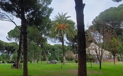 Sümer Park Paten Pisti